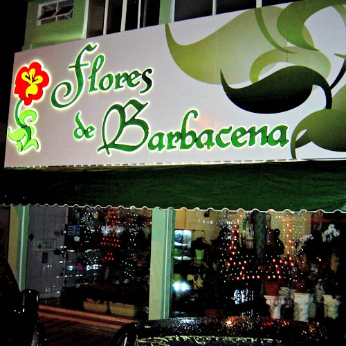 luminoso flores de barbacena